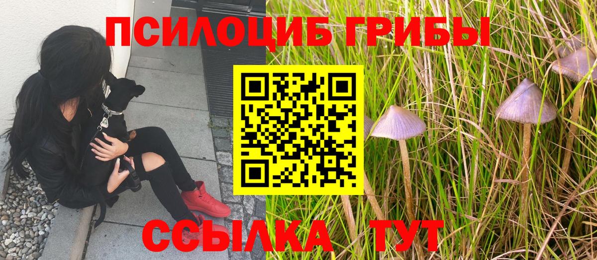 Алапаевск  Галлюциногенные грибы Magic Shrooms  наркотики  Вход с VPN 